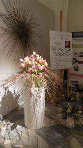 VII Wystawa Tulipanów