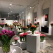 wystawa tulipanów